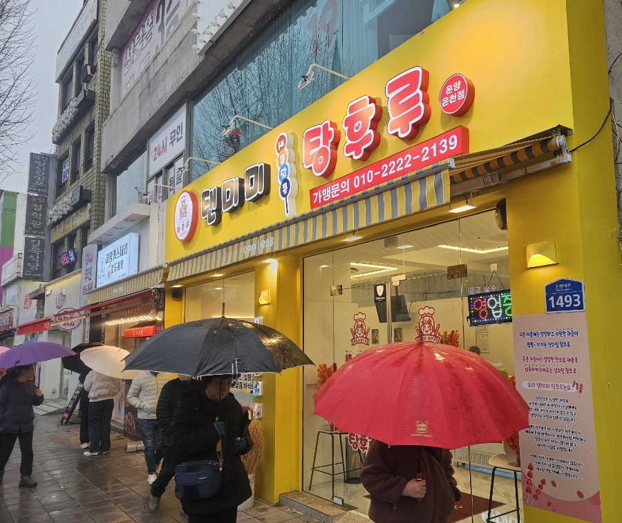 탠미미탕후루 이미지