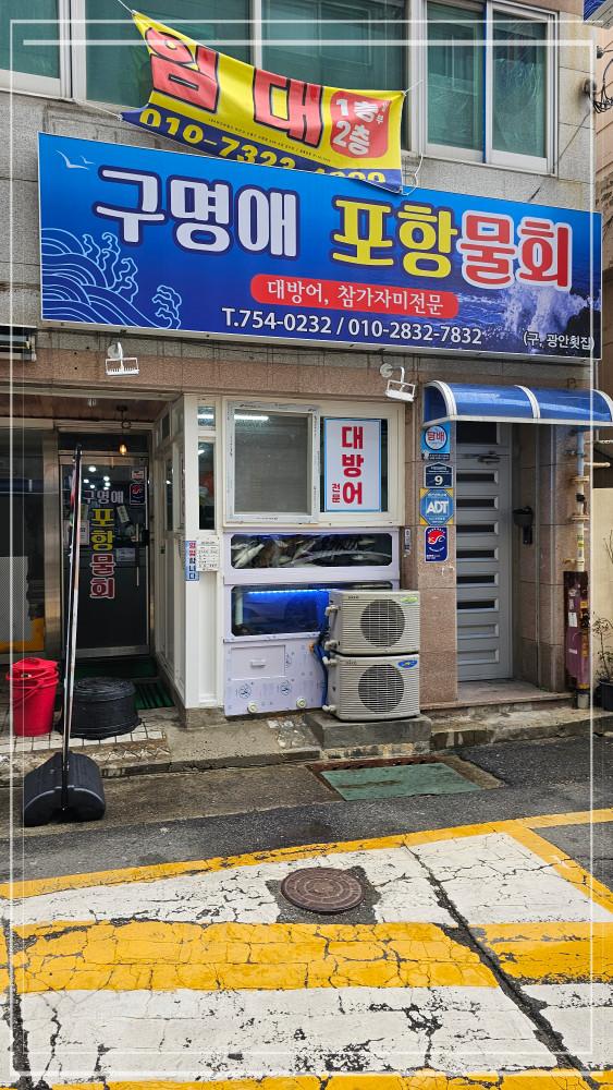 구명애포항물회 이미지