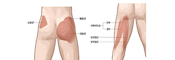 덩키 이미지
