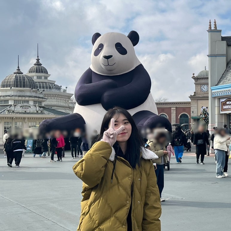 요기나라판다 이미지
