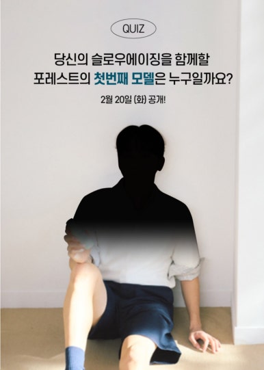포레스트(forest) 이미지