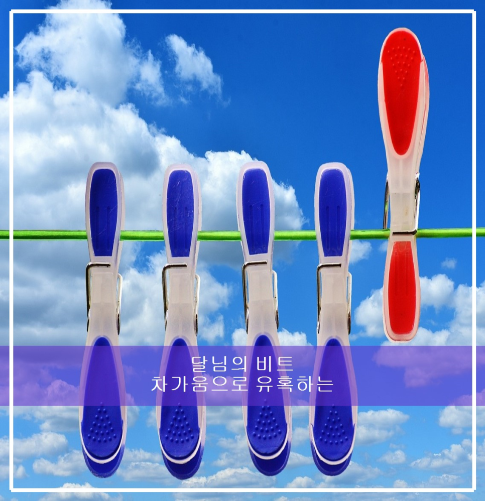커머로우 이미지