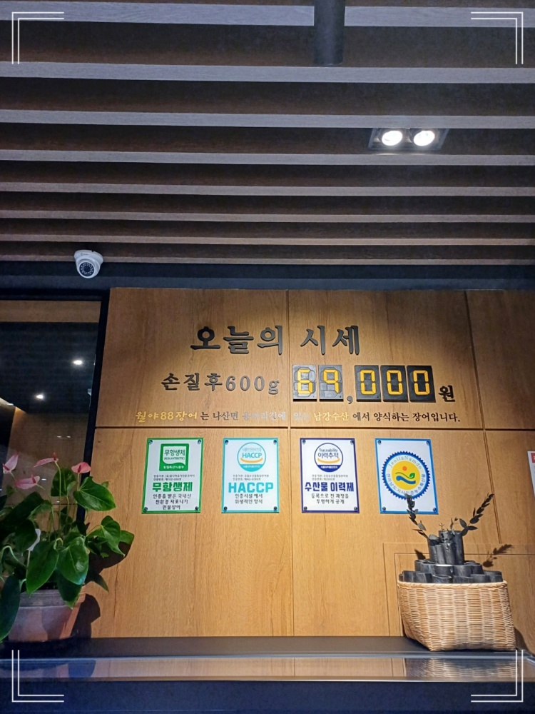 88장어 이미지