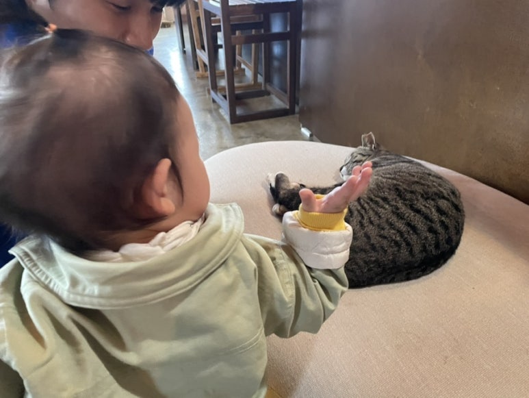 브라보웍스 이미지