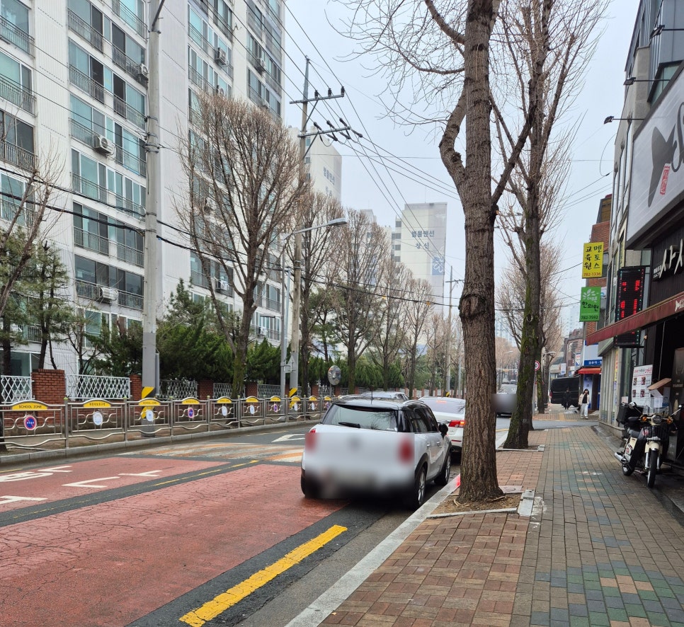 사시미교우 이미지