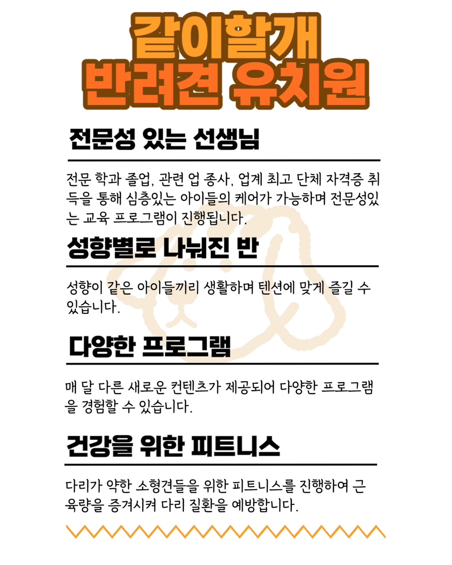분당 애견유치원 '같이할개' 프로그램 및 비용 안내 — 사진 2