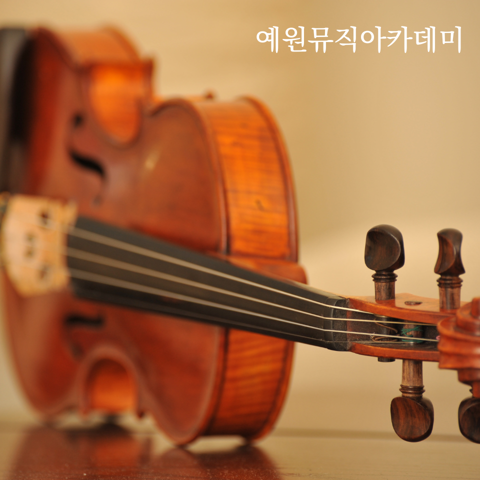 예원악기 이미지