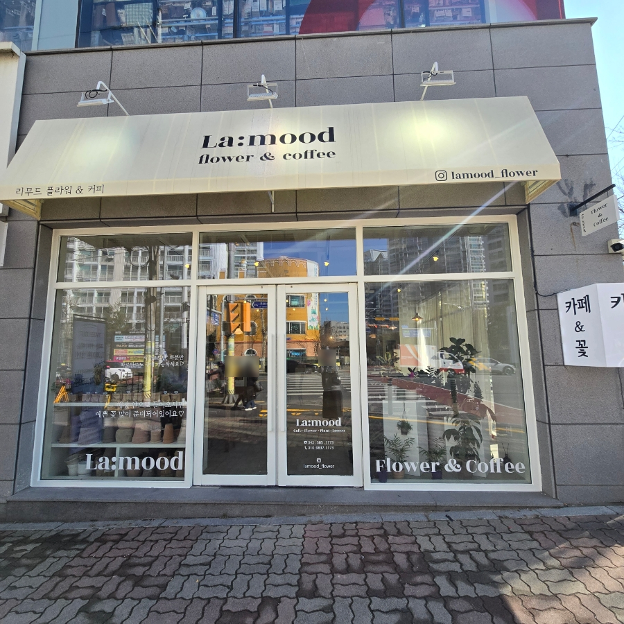 라무드플라워 이미지
