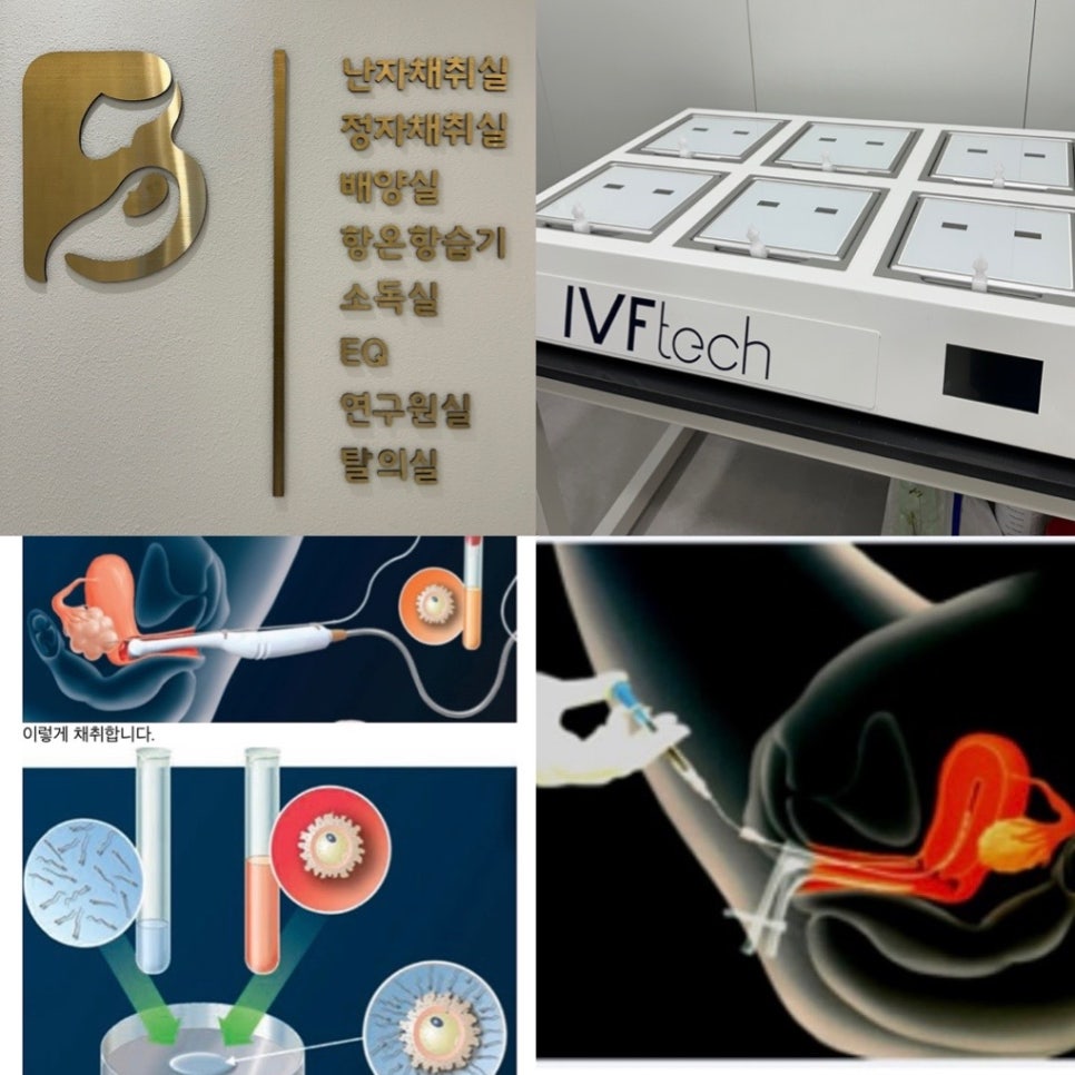 본베베여성의원 이미지