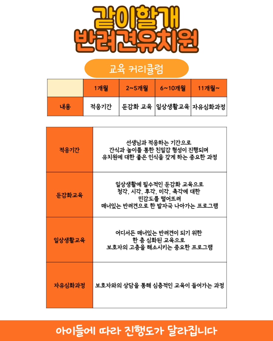 분당 애견유치원 '같이할개' 프로그램 및 비용 안내 — 사진 4