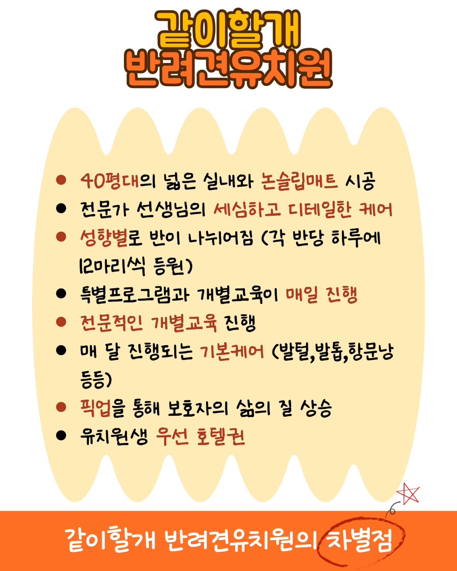 분당 애견유치원 '같이할개' 프로그램 및 비용 안내 — 사진 3