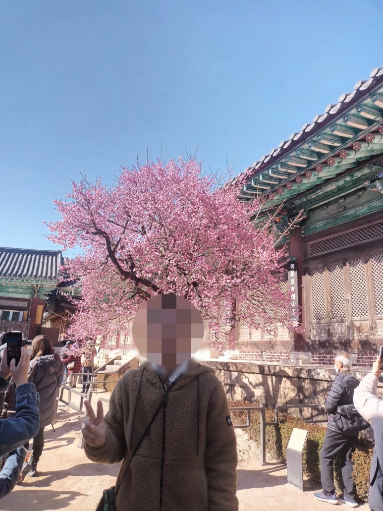 양산IC(통도사) 이미지