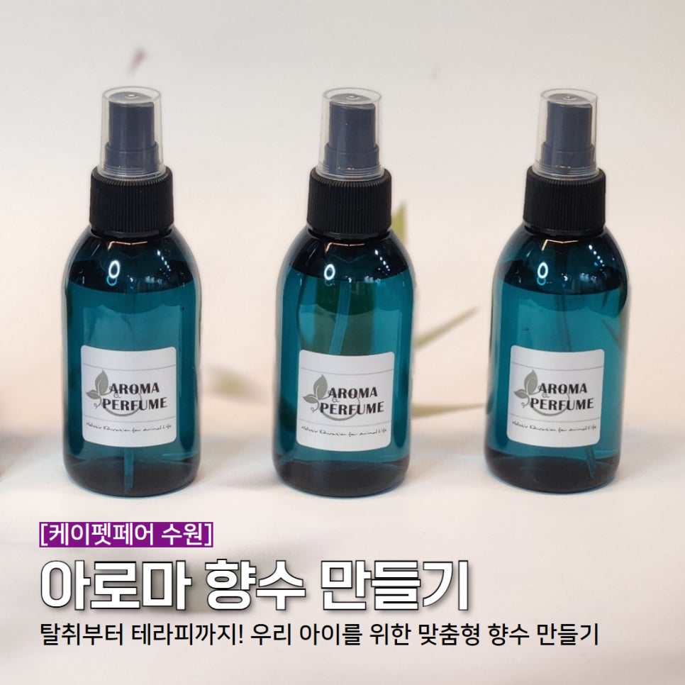 케이아로마 이미지