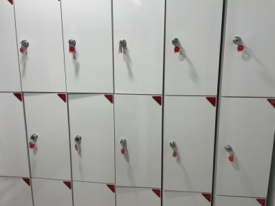 슈가복싱 이미지