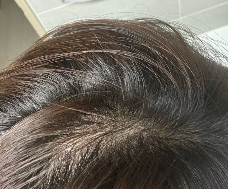 피오리다 이미지
