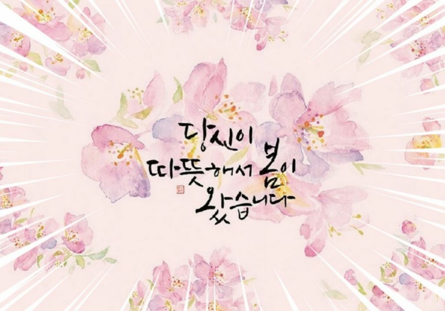 차민 이미지