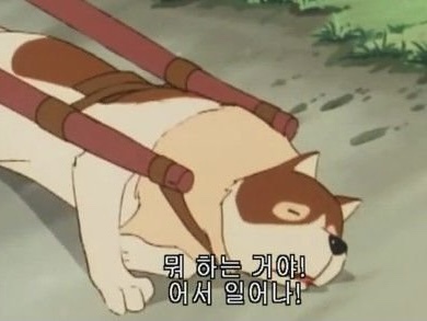 파트라슈 이미지