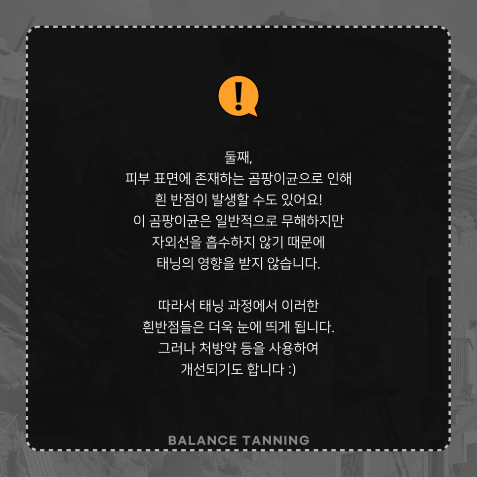 신정반점 이미지