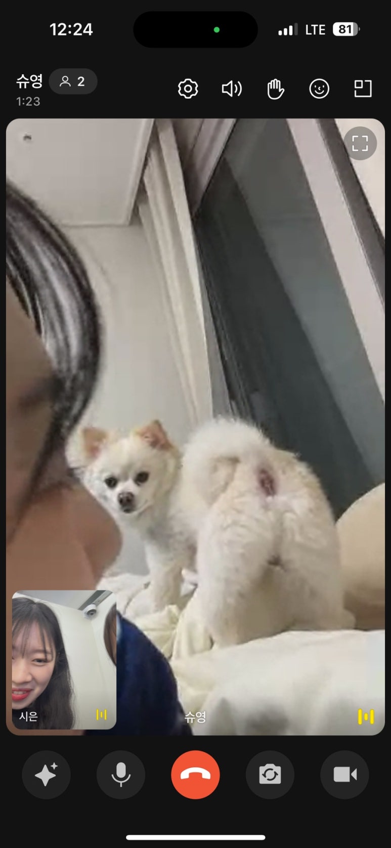 제뉴어리 이미지