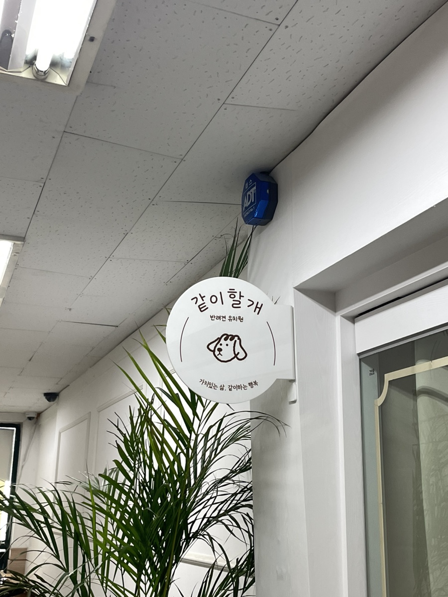 분당 애견유치원 '같이할개' 프로그램 및 비용 안내 — 사진 10