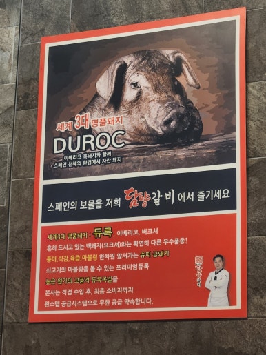 남포코다리 이미지