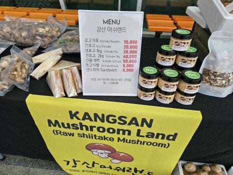 강산머쉬랜드 이미지