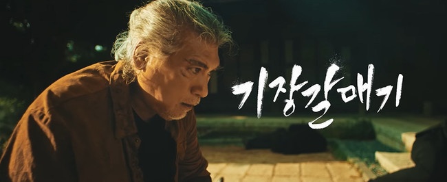 청춘갈매기 이미지