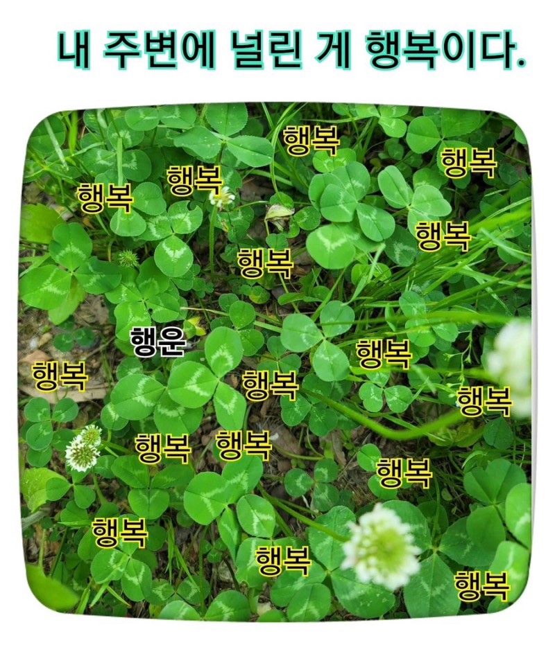 다비치사 이미지