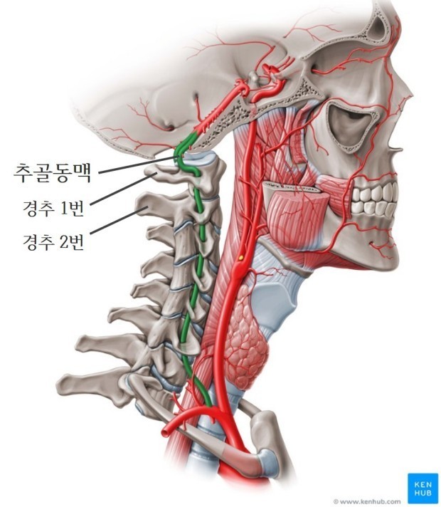 구미피티 이미지