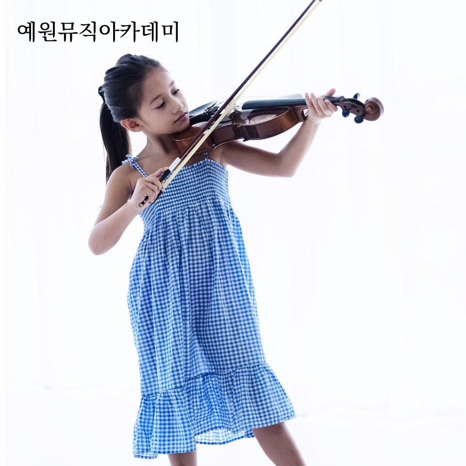 예원악기 이미지