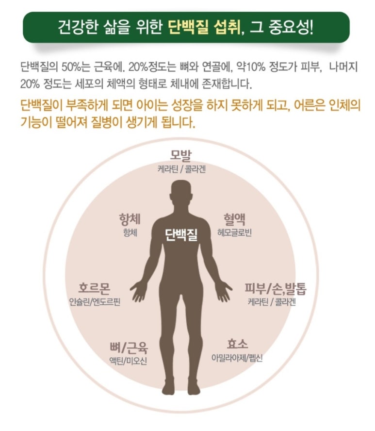 (주)굿모닝 이미지