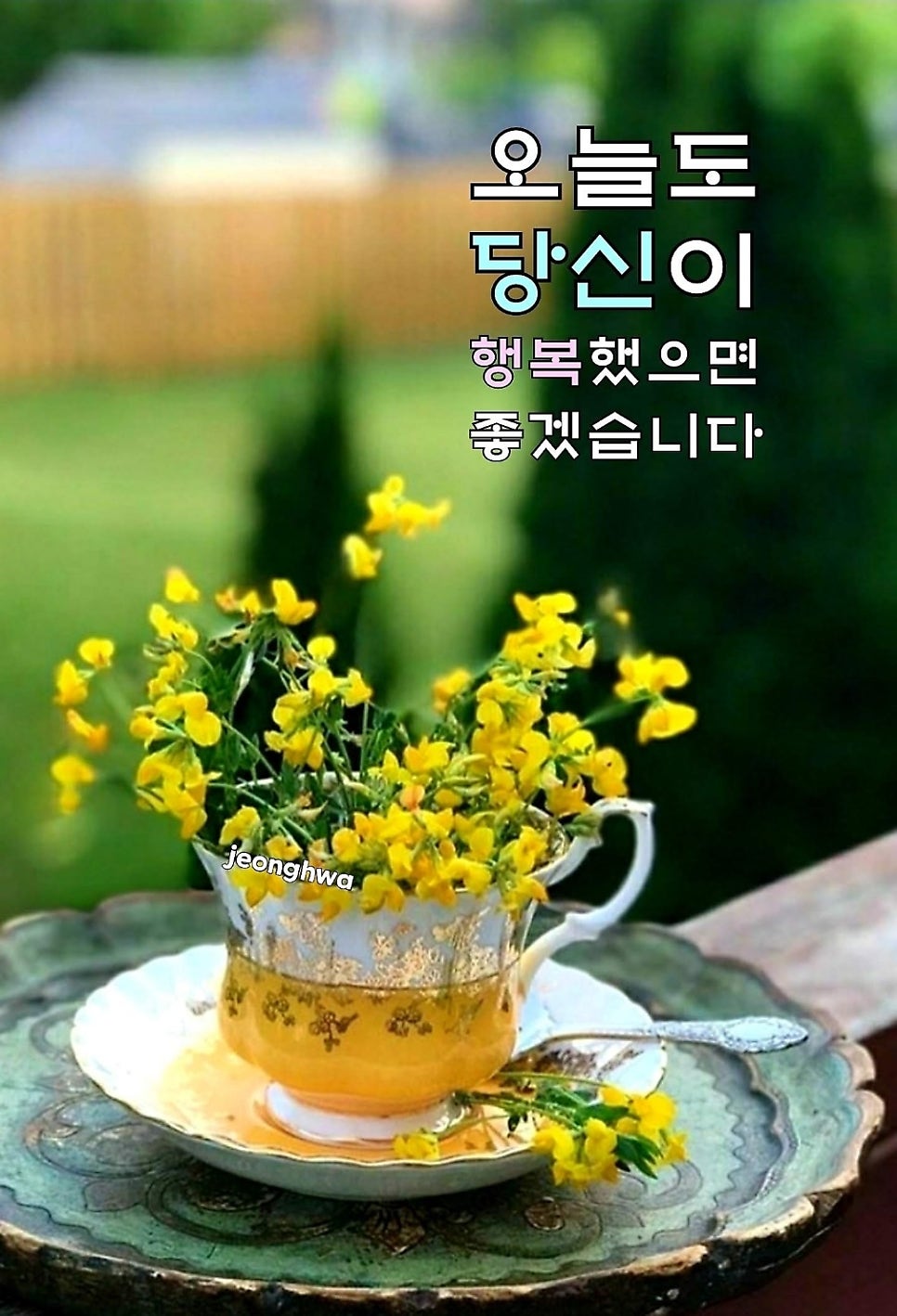 비.오.비 이미지