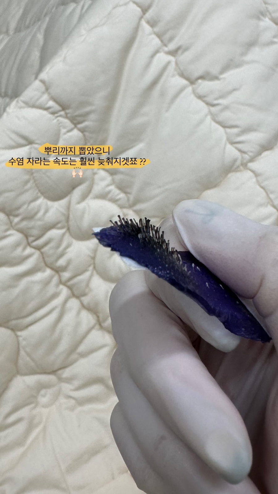 폴인왁싱 이미지