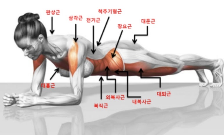 더라이프헬스PT 이미지