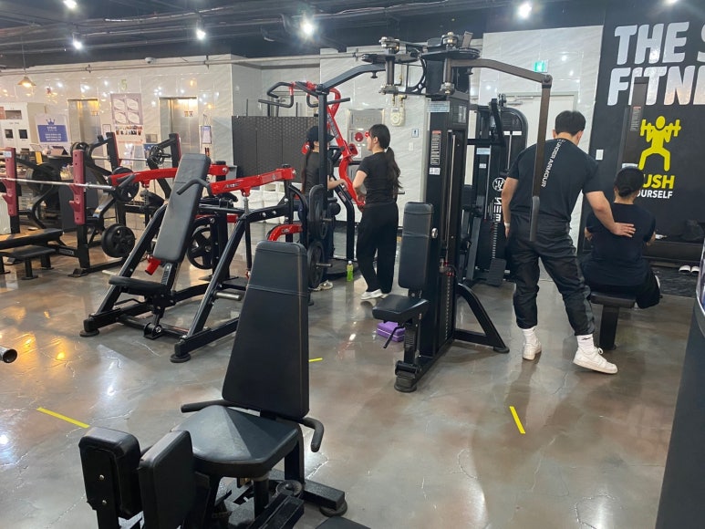 비트니스 이미지