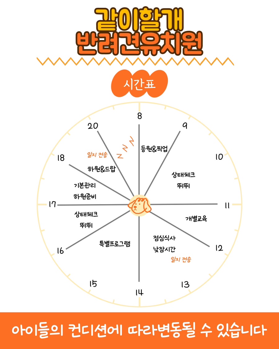 분당 애견유치원 '같이할개' 프로그램 및 비용 안내 — 사진 6