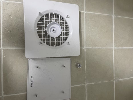 라이언클린 이미지