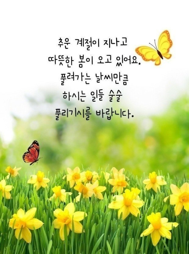 윤서네 칼국수 이미지