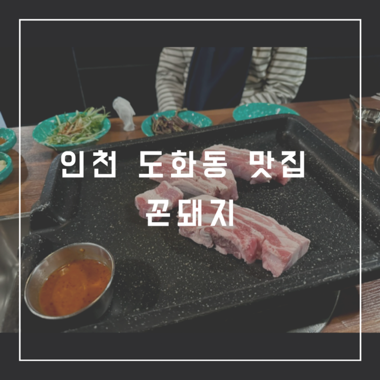 꼰돼지 이미지
