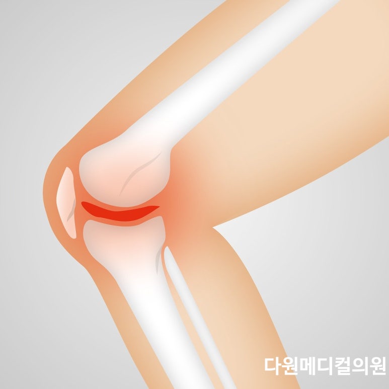 다원바이오 이미지
