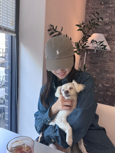 카페고니아트센터 이미지
