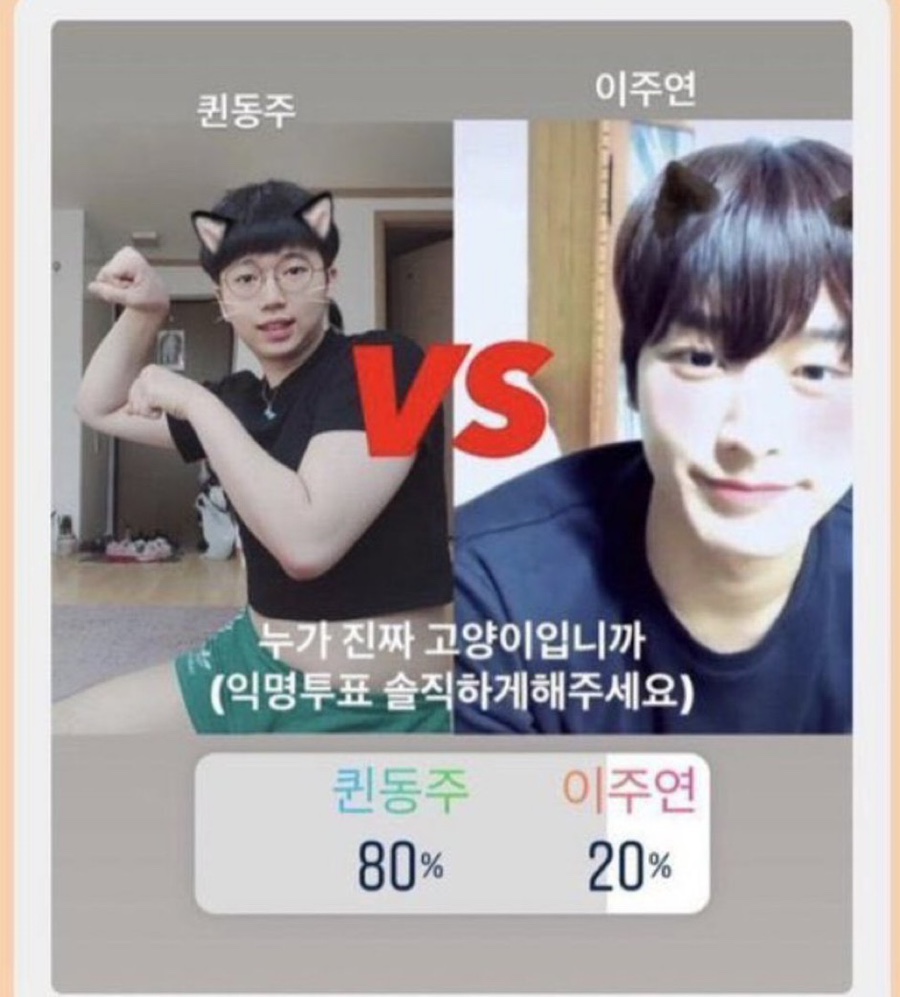 퀸투어스 이미지