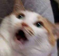 메디칼리서치 이미지