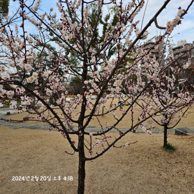 스카이핌 이미지