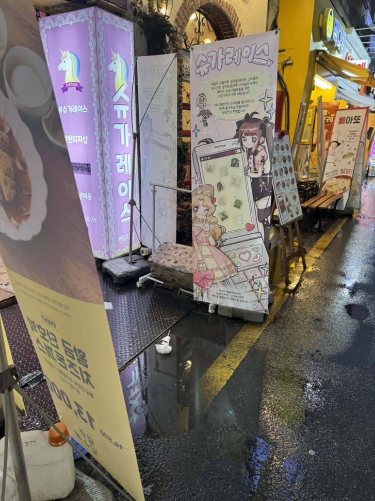 펌핀펀 이미지