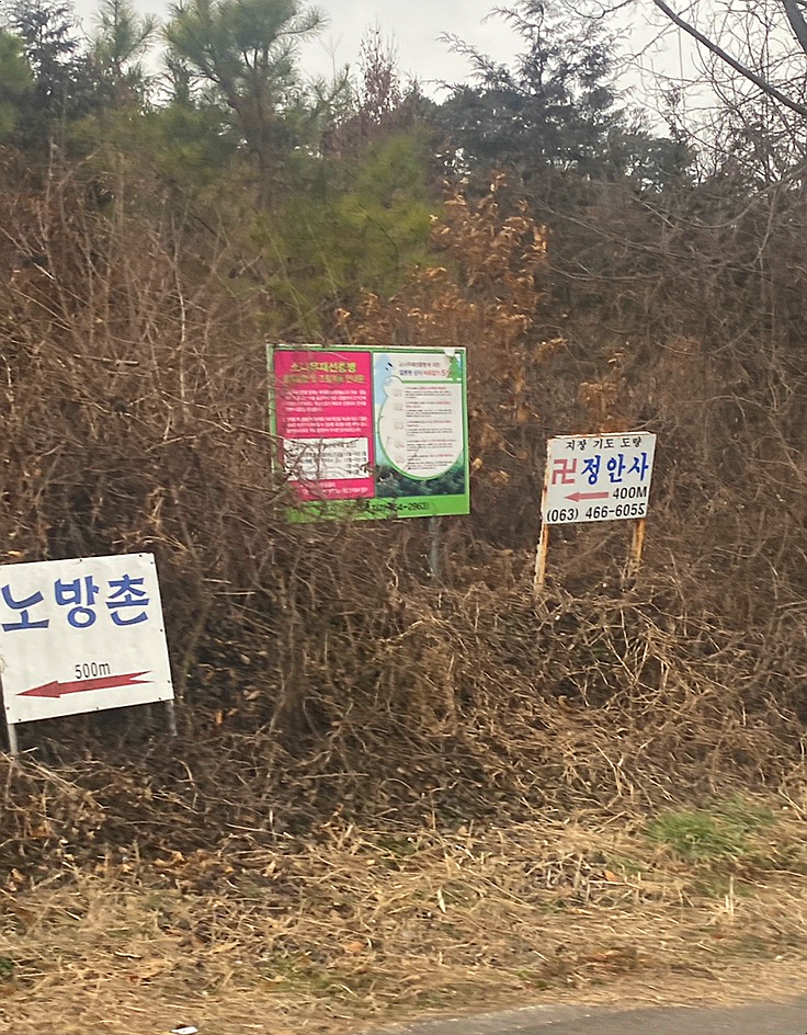 군산생오리 이미지