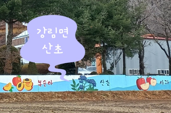 강림산초두부 이미지