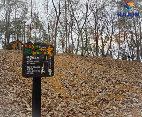 비호동산 유아숲체험원 이미지