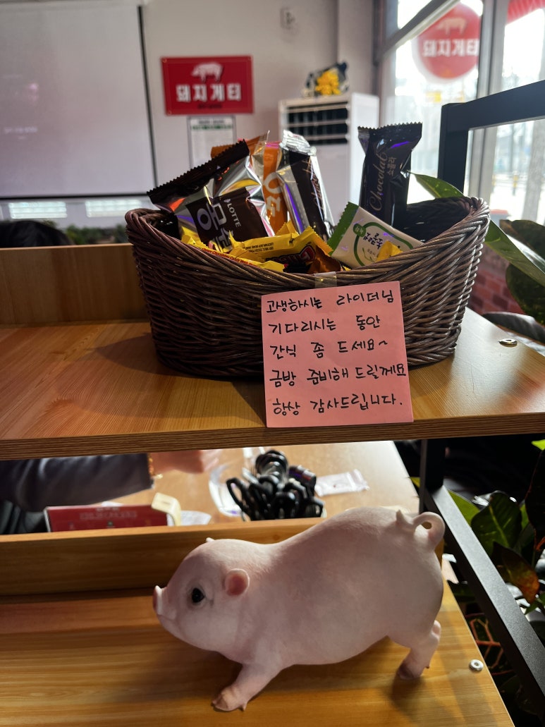 돼지게티 이미지
