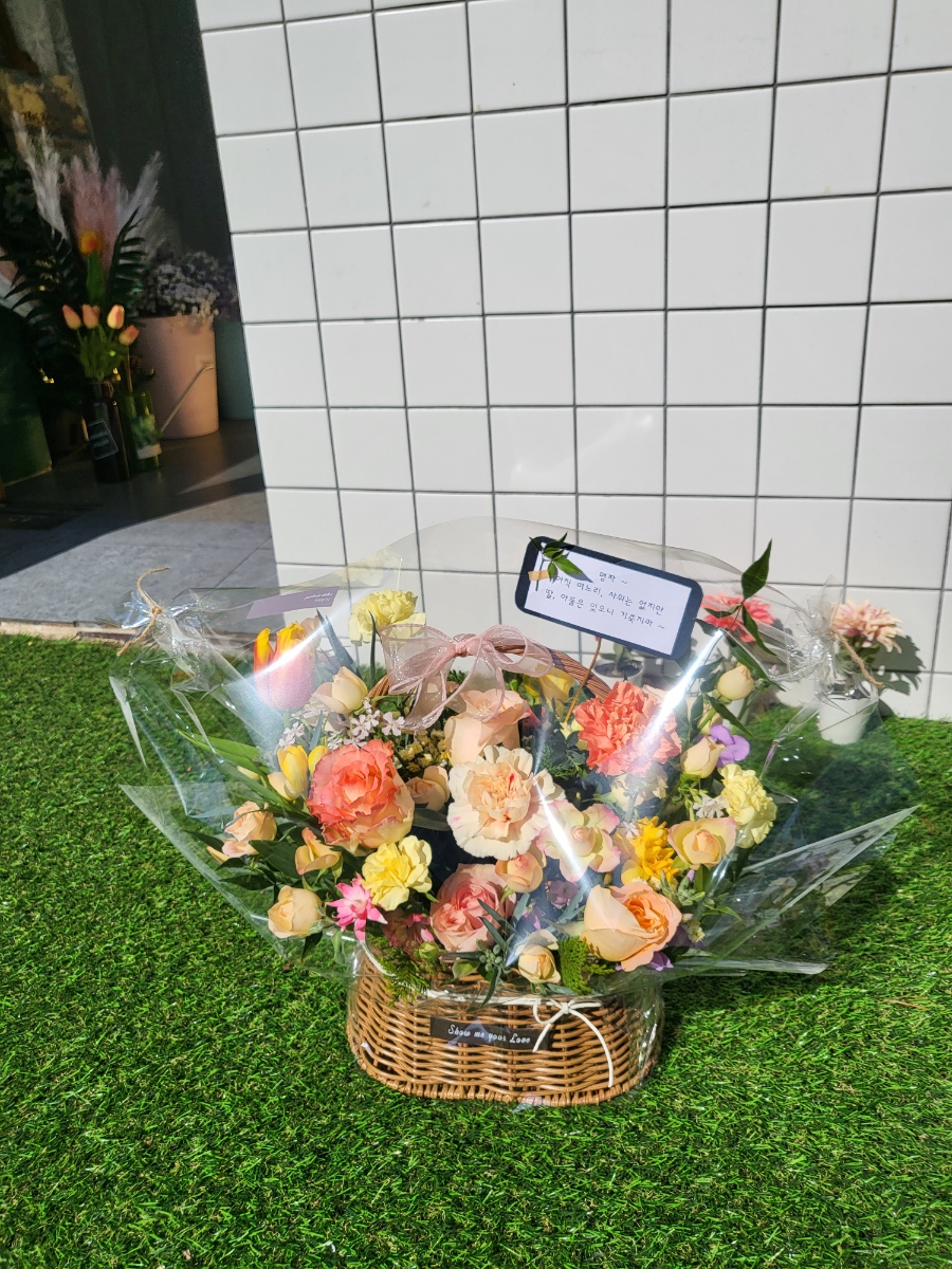 플로리포레 이미지